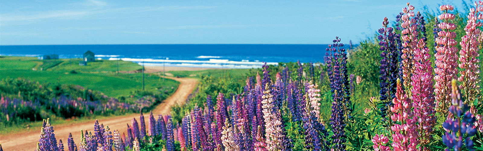 Canadvac Travel Services